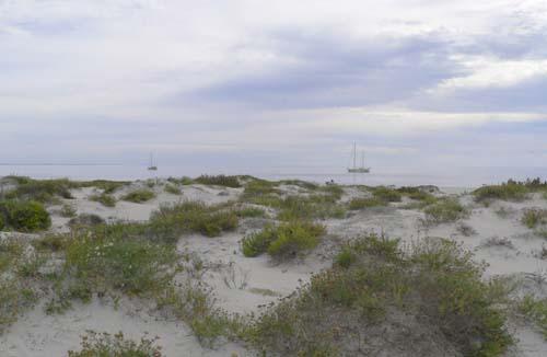 Photo : bahia-magdalena-voiliers-dunes.jpg
