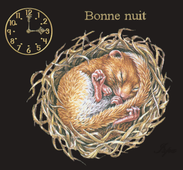 bonnenuit160308ra7.gif