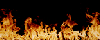 gifs-gratuits-20-79-.gif