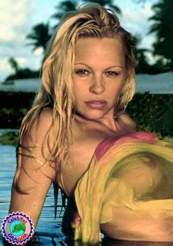 Pamela-Anderson-0231.jpg
