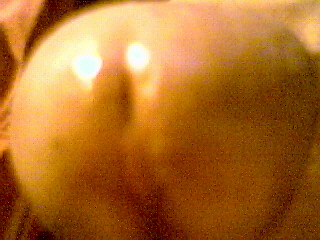 24-jean07.jpg