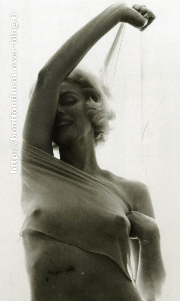 Marilyn-monroe-tee-nue.jpg