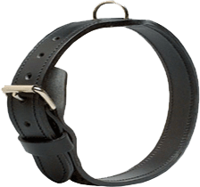 Collier Logo