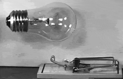 tumblr_n940qgSa3f1qj8ghmo1_500.gif