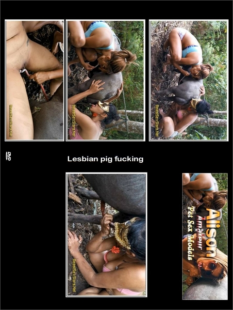 lesbian pig fucking