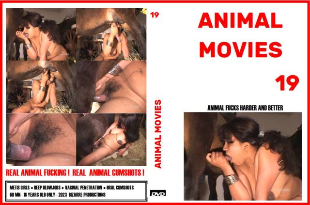 animal movies19