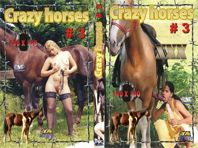 crazy horses3