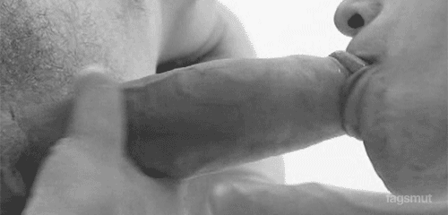 tumblr_mvilszqtFC1qjzwvbo1_500.gif