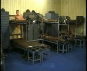 tumblr_n6v93i9iQM1rownyho1_250.gif