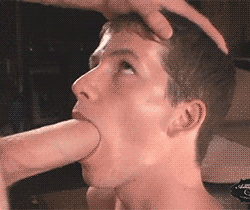 tumblr_mqu29g3Y4M1qfyuilo3_250.gif