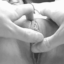 3159812.gif