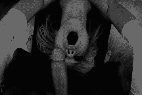 4279548.gif