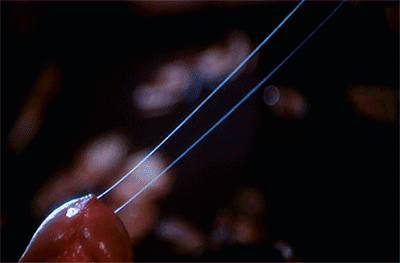 tumblr_p21z16xP271ru963fo1_400.gif