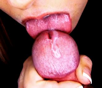 tumblr_nr1bph48kK1uz524go1_400.gif
