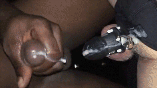 BBC-Fucking-Tampa-White-Bottom-Hand-Free-Cum-Chastity.gif