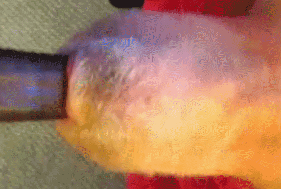 Three-minute-Cum-Flow-for-BBC-Suck-Slave--Free-Gay-Porn-46-.gif