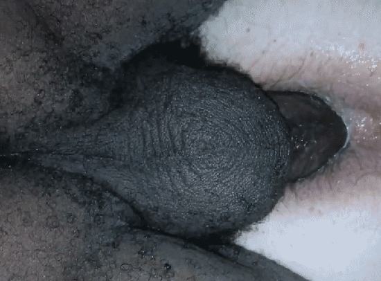 Black-Cock-in-White-Hole--Free-Gay-Porn-Video-ed-xHamster.gif