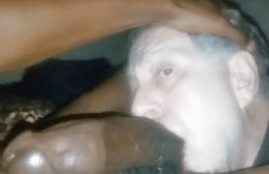 PRIME-KENTUCKY-HORSE-HUNG-BBC---Pornhub.gif