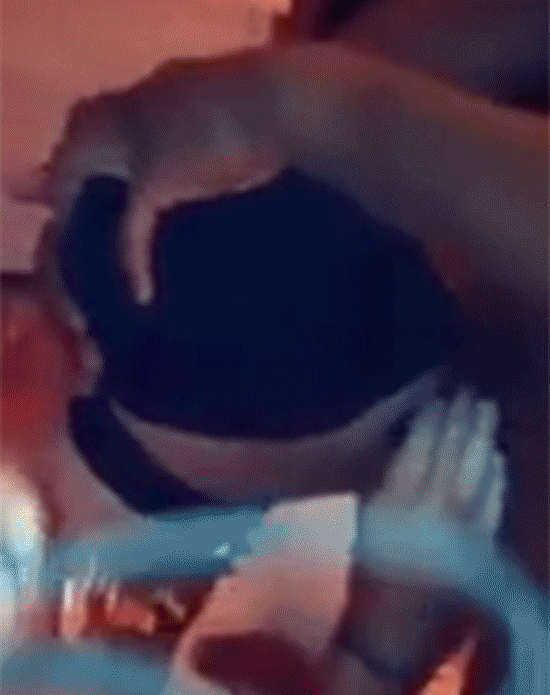 Video-57.gif
