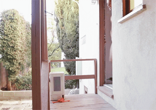 tumblr_nnynsubvMH1qg8i7yo1_500.gif