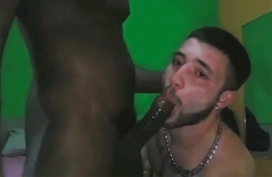 Provando2.gif