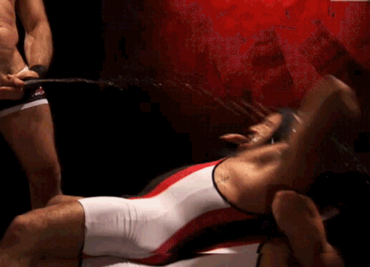 1-copie-5.gif