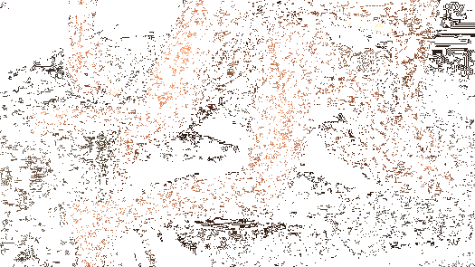 1d-copie-1.gif