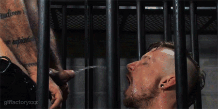 1--5-.gif