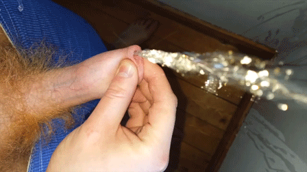 1--3-.gif