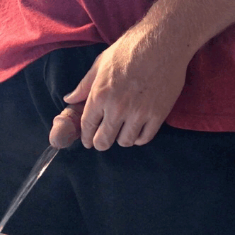 1--2-.gif