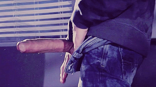1--1--copie-2.gif