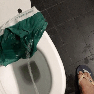1-copie-1.gif