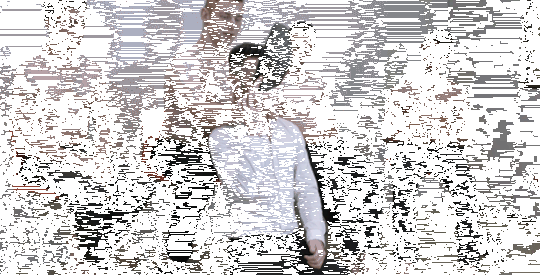 1c-copie-1.gif