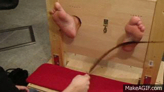 1d-copie-1.gif