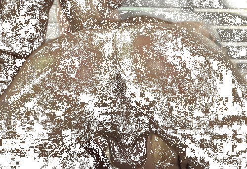 1b-copie-4.gif