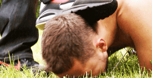 1--3--copie-2.gif
