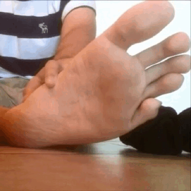 1--2--copie-3.gif