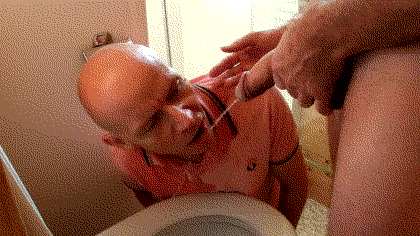 1--3--copie-2.gif