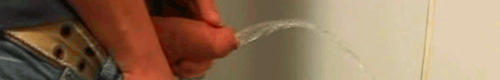1--2--copie-2.gif