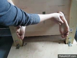 1d-copie-4.gif