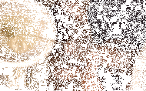 1c-copie-5.gif