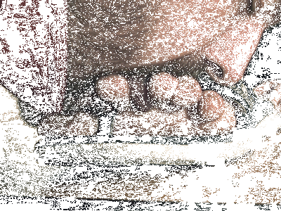 1d-copie-7.gif