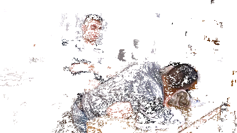1b.gif