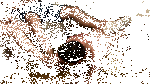 1c-copie-3.gif