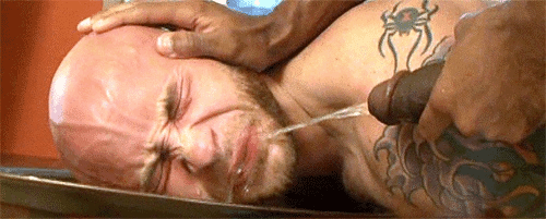 1d-copie-1.gif