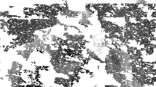 1c-copie-1.gif