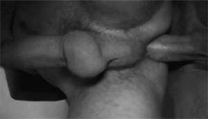 1d-copie-1.gif