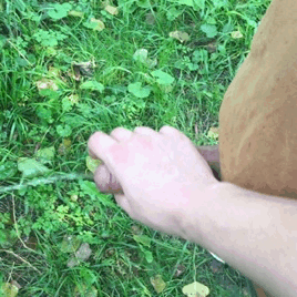 1b.gif