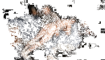 1--2-.gif