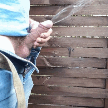1d-copie-1.gif